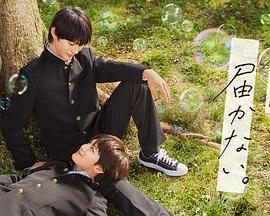 一级一级大片免费手机看海报剧照