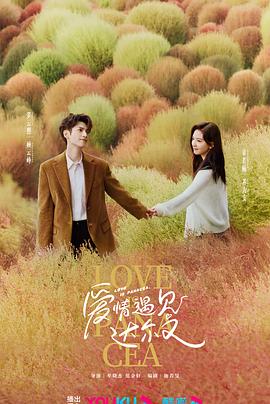 貼身秘書海报剧照