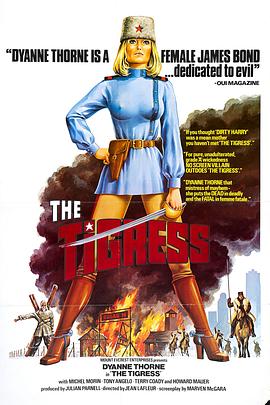 国产九九免费视频海报剧照