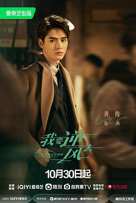 国产迅雷海报剧照